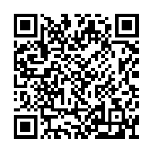 难道说他们眼前的这个家伙竟然不是上帝的本体二维码生成