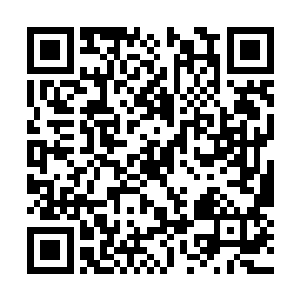 难道说他们自始至终都沒打算将爸爸妈妈还给我们二维码生成