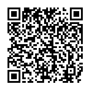 难道说像刘师兄这样名医专家级的医生也是夏老师手把手教出来的二维码生成