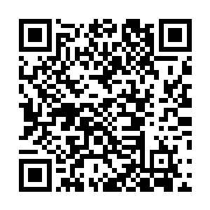 难道说只有大祭司一个人知道这圣域会出现在死亡森林吗二维码生成