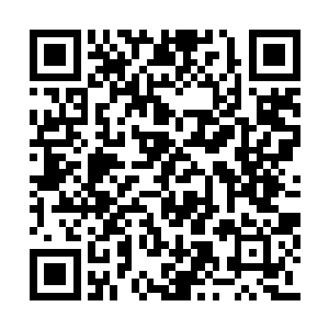 难道说林烽修炼的是金钟罩铁布衫一类的功法么二维码生成