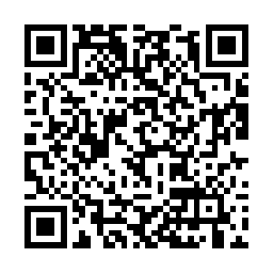难道说真正的选择是……如果我袖手旁观躲在厕所里二维码生成