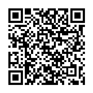 难道说萧风拿出了什么让血刃和燃狱同时心动的筹码吗二维码生成