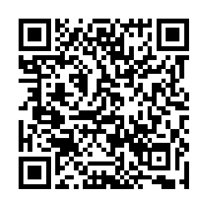 难道说虚慕阳没有告诉这个小子无边幻境正确的走法二维码生成