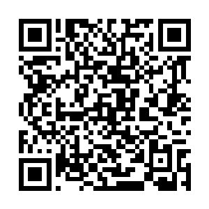 难道说这个世界平静了三十万年的格局要被打乱了二维码生成