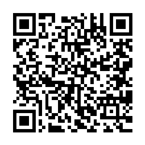 难道说这个楚暮是借助挑战的名义故意来落我们傲剑帮的名头二维码生成