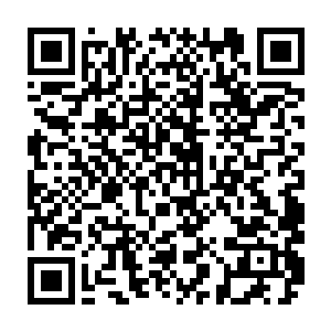 难道说这个鸢尾真的在这么短的时间之内得到了什么了不起的人物的帮助了吗二维码生成