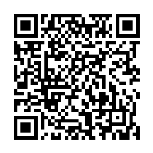 难道说这十几年玄黄大陆本土修士的修为也提升得那么快二维码生成