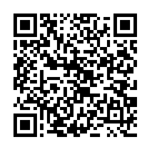 难道说这就是传说中可以提升武者修为的神奇丹药么二维码生成