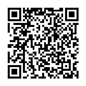 难道说这火莲是一种就连混沌钟都非常在意的宝物二维码生成