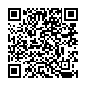 难道说进入到广场内的修士都会得到上古修士的青睐二维码生成