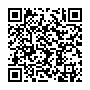 难道说镇海星域的名字由来就是从飞仙海中得到的二维码生成