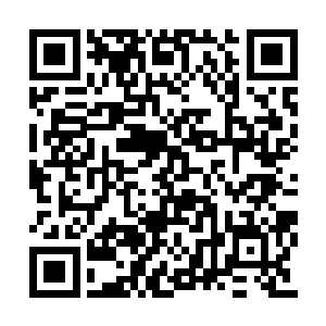 难道说陈长生这时候用并不是传说中的那套剑法二维码生成