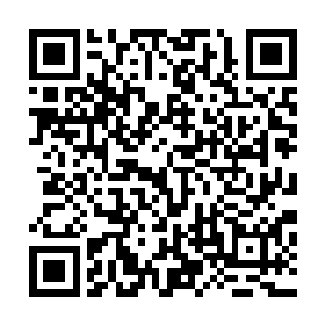 难道还能叫你跟那些天选者一样苦逼的没日没夜的修炼不成二维码生成
