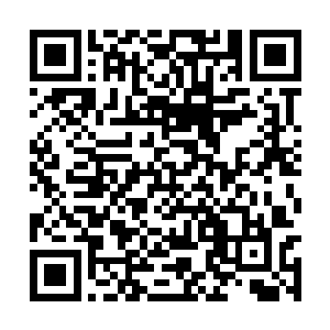 难道还跟着你一个开元境七层的师弟一起冒险不成二维码生成