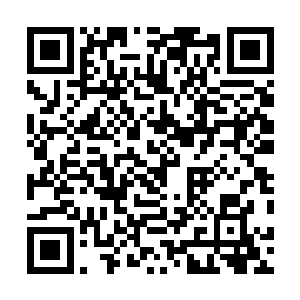 难道这个世界上真的有另外一个人和陆非凡长得那么相似二维码生成