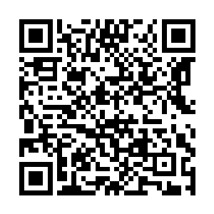 难道这个身手了得但毫不起眼的家伙还有什么大来头二维码生成