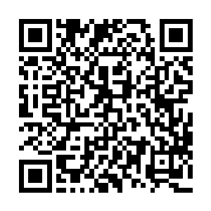 难道这个队长姐姐已经把她们被公司解约的事情告诉他了二维码生成