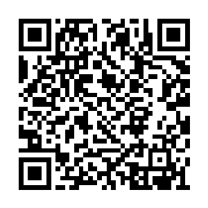 难道这天山深处发生了什么不可思议的变化了吗二维码生成