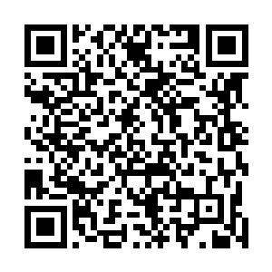 难道这就是传说中单枪匹马击溃了冷长风的那位独孤战神二维码生成