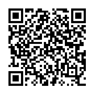 难道这就是自己身体内某些基因和dna被激活后的感觉吗二维码生成
