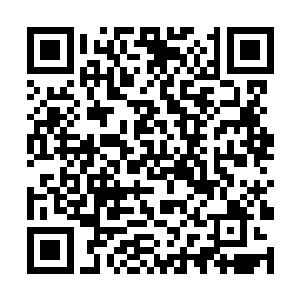 难道这就是自己追求天道未来之路上必然会经历的吗二维码生成