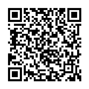 难道这就是雷帝传承之中有过记载的……雷劫液二维码生成