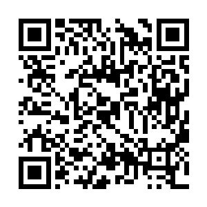 难道这永恒之果吃一口就自己进到我肚子里面了吗二维码生成