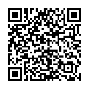 难道那个和东方浩然在一起的人和苏凡有着什么关系二维码生成