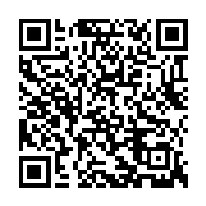 难道那个小子也有妖族的帮他完成了妖血祭不成二维码生成