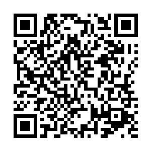 难道那位神秘高人想要用这些薄雾将泰坦神族的高手杀死二维码生成