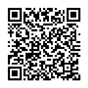 难道除了仙女果外他还有什么别的全新的品种吗二维码生成