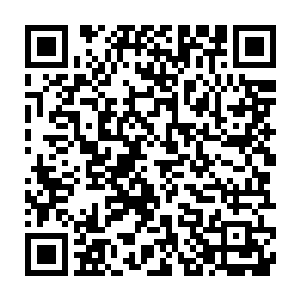 难道-――-这就是秦洛所说的那个可以给自已心怀敬意失败的那个人二维码生成