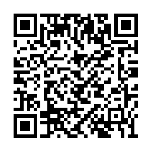 雁湖村奇石在这段时间的风头完全压住了仙桃村二维码生成