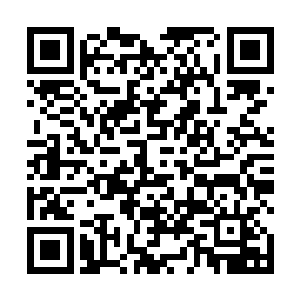 雄伟如高山般的巫咸看着夏云杰在半山腰采集灵草仙药二维码生成