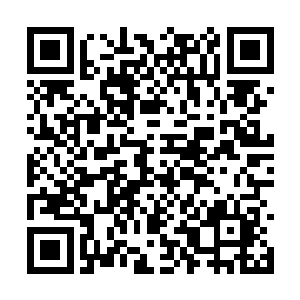 集上千修者于一体的联合攻击与那驴儿的彩光碰撞二维码生成