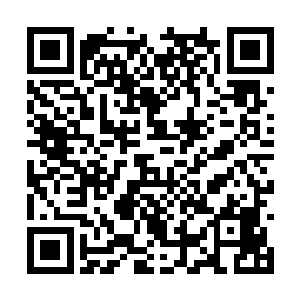集中了火威的火针在苗毅的驱使下快速旋转了起来二维码生成
