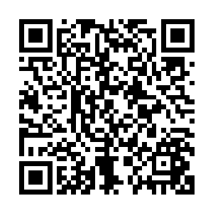 集团董秘傅采宁和智为科技老总王一男一起主持此次宣传活动二维码生成