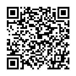 集多重攻击于一次爆发……不过这到底不是真正的分身之术二维码生成