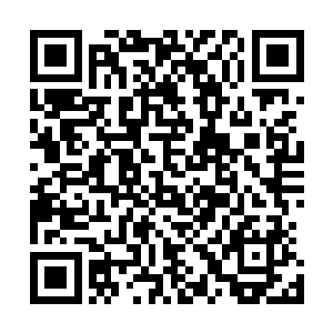 集这些优点于一身的非空深受部落老老少少男男女女的喜欢二维码生成