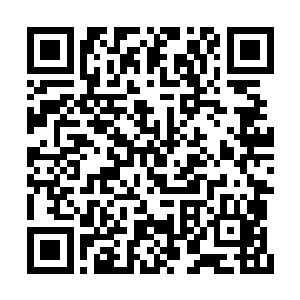雨上人对他们武魂一脉的关照竟然达到这般地步二维码生成