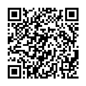 雨果一下就捕捉到了尼古拉斯那种恶作剧的神情二维码生成