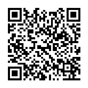 雨果一下就看到了聚集在摄影棚门口的十几名粉丝二维码生成