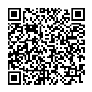 雨果之前面对记者时那无法直视的强大气场到底是遗传自哪里的了二维码生成