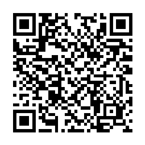 雨果之所以有印象是因为一代动作巨星西尔维斯特二维码生成