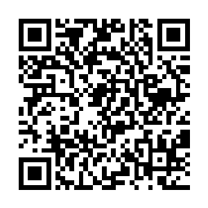 雨果作为制片人的价值已经超过了他作为演员的价值二维码生成