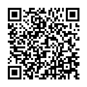 雨果依靠自己的影响力让人们重视了魔女审判的可怕二维码生成