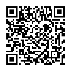 雨果几乎是下意识反应就抓住了莱昂纳多的袖子二维码生成