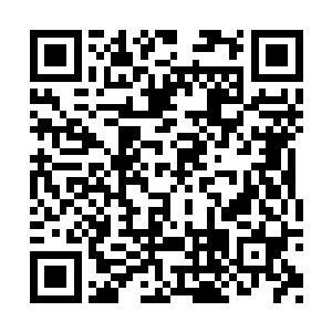 雨果到底是真的被自己骗到了还是故意假装输了二维码生成