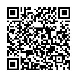 雨果原本正在和约瑟夫商量着接下来和哪个品牌接触二维码生成